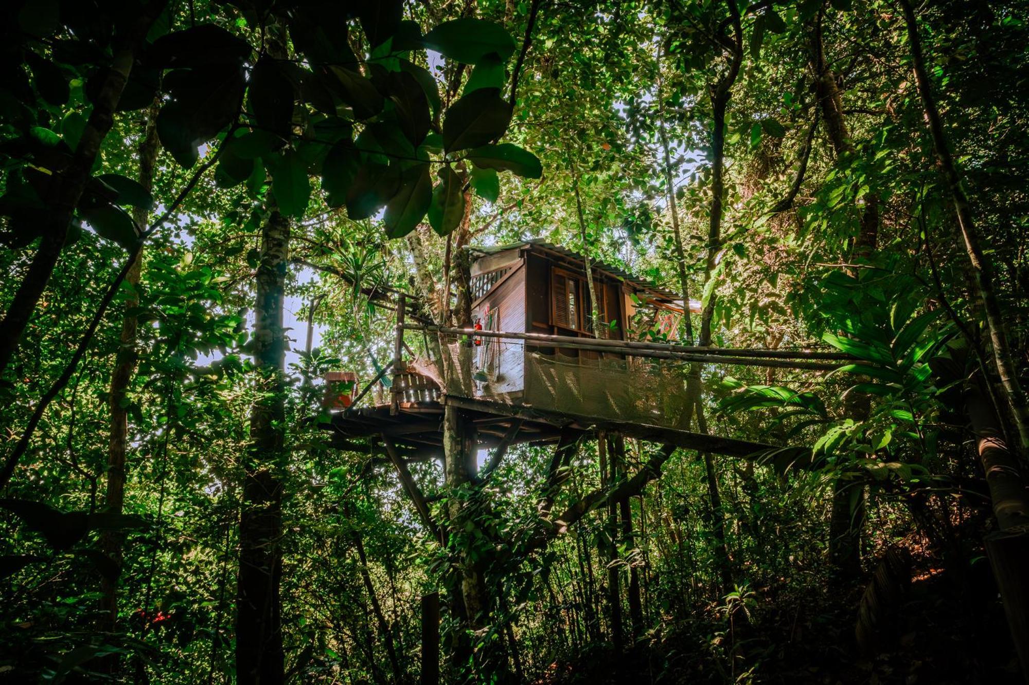Paraty Paradiso Luaran gambar